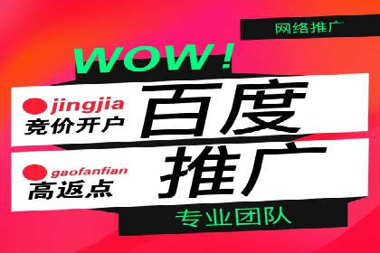 搜索引擎营销（SEM）专员的挑战与机遇