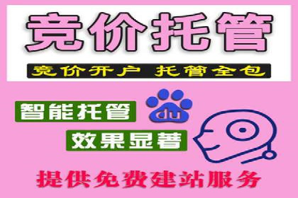 汽车行业SEM运营托管的典型案例分析